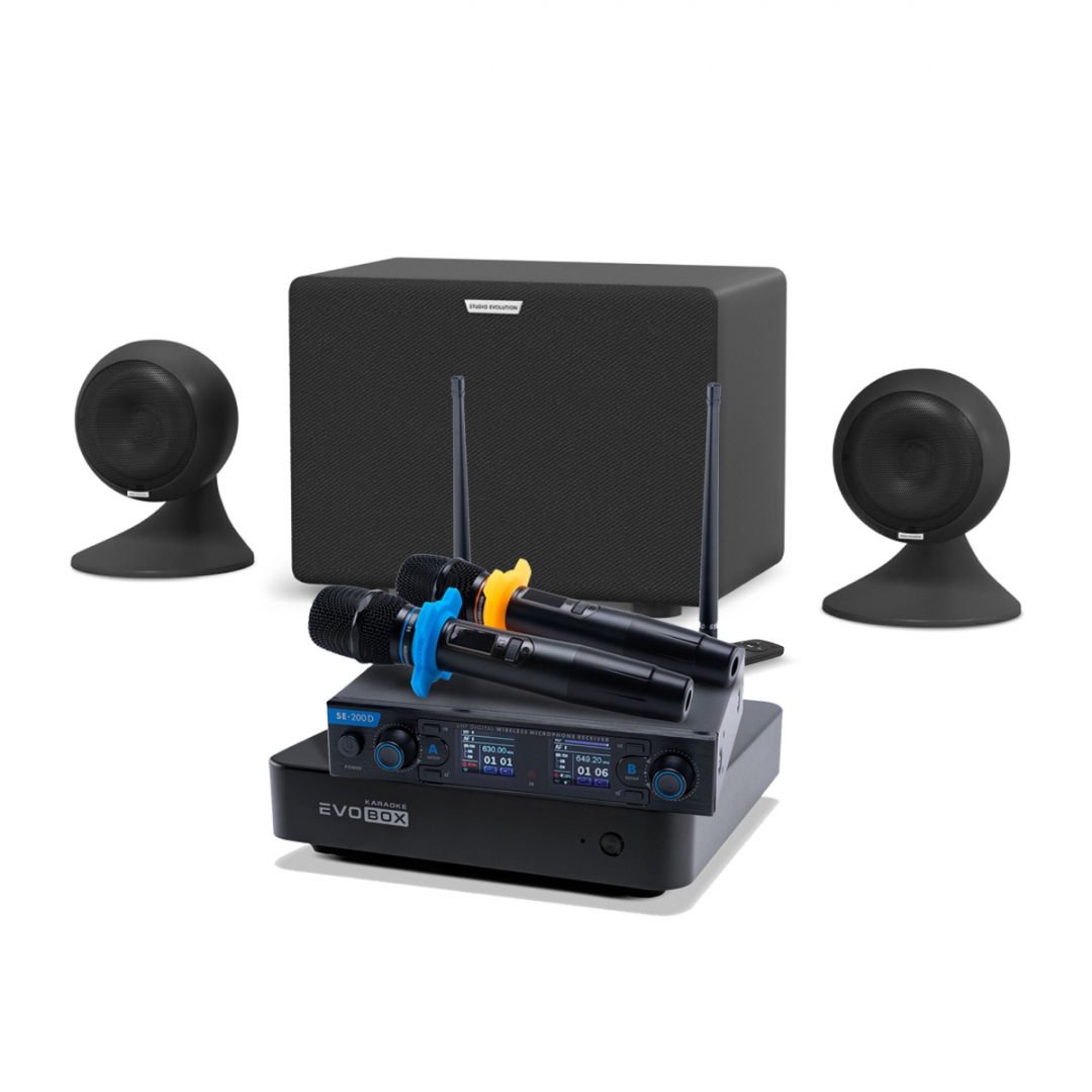 караоке-комплект EVOBOX + EvoSound Sphere 2.1 в Бердске
