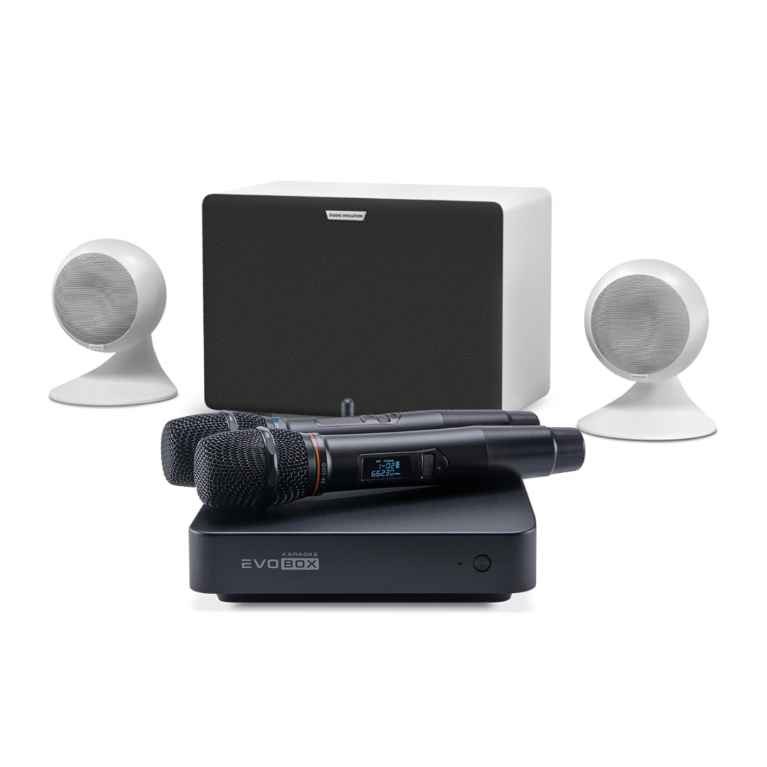караоке-комплект EVOBOX Classic + EvoSound Sphere 2.1 в Бердске