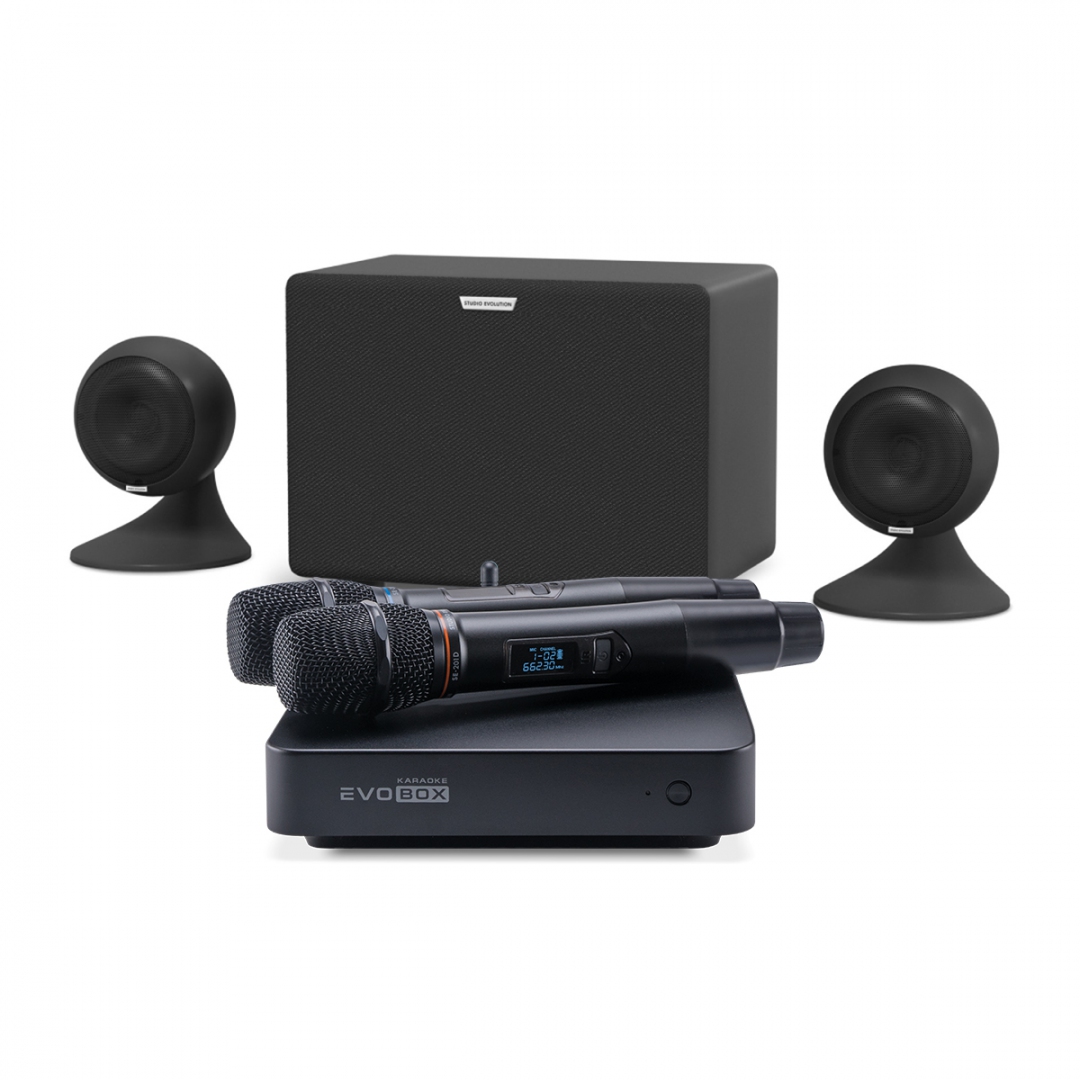 караоке-комплект EVOBOX Plus + EvoSound Sphere 2.1 в Бердске