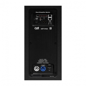 Активная акустическая система AST-312A в Бердске