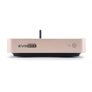 EVOBOX Classic караоке-система для дома в Бердске