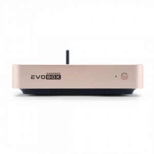 EVOBOX Plus караоке-система для дома в Бердске