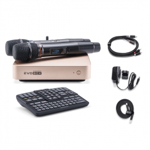 EVOBOX Plus караоке-система для дома в Бердске