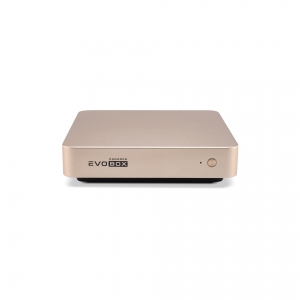 EVOBOX с микрофонами в Бердске
